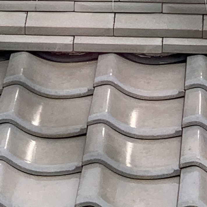 IMG_2572-columns1