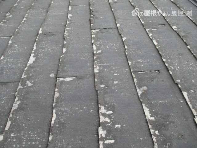 パミール屋根点検
