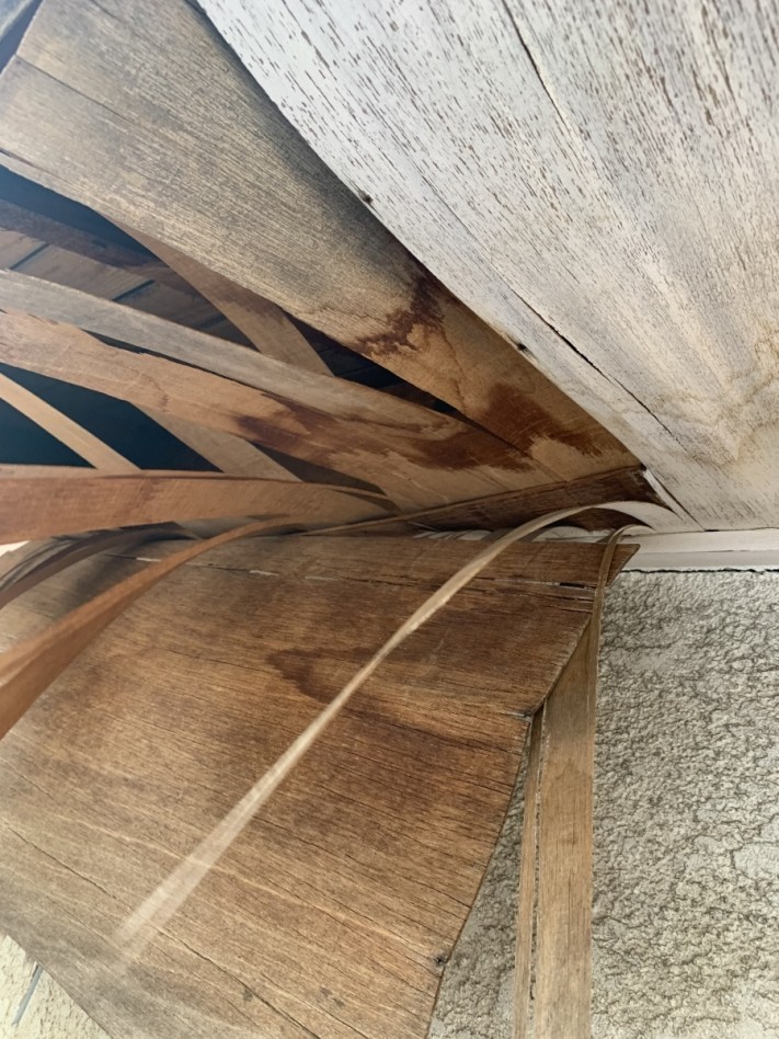 IMG_6728-columns1
