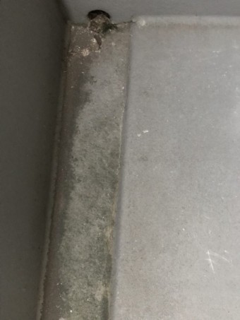 防水工事