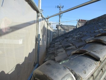 IMG_7735-columns2