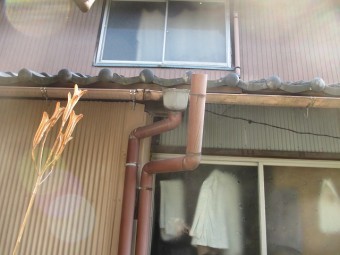 樋の点検