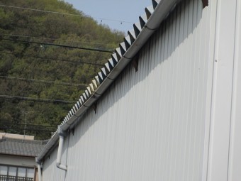 樋現場調査