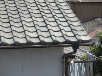 樋現場調査
