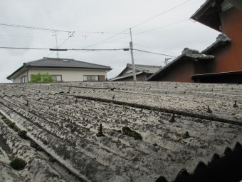 小波スレート屋根現場調査
