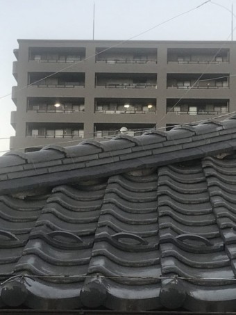 屋根調査
