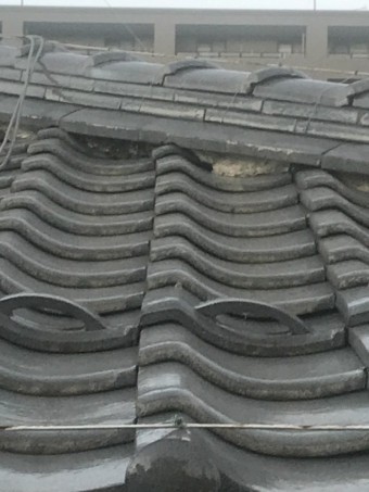 屋根調査