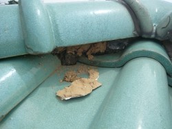 漆喰が剥がれ落ちてます