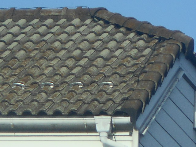 岐阜市にて築年のモニエル瓦に苔が生えているので現場調査に行ってきました 岐阜で屋根リフォーム 雨漏り修理なら街の屋根やさん岐阜店へ