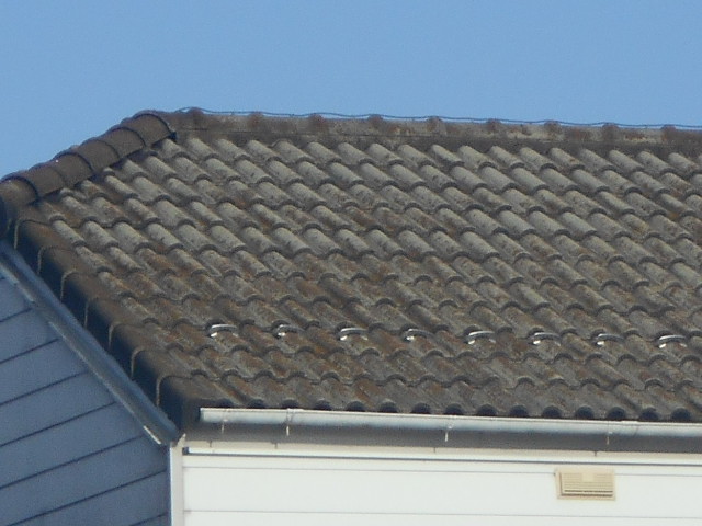 岐阜市にて築年のモニエル瓦に苔が生えているので現場調査に行ってきました 岐阜で屋根リフォーム 雨漏り修理なら街の屋根やさん岐阜店へ