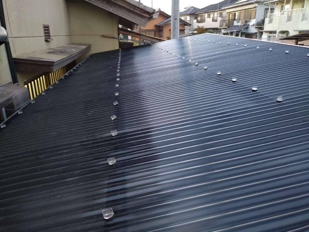 新しい波板の取り付けと固定作業