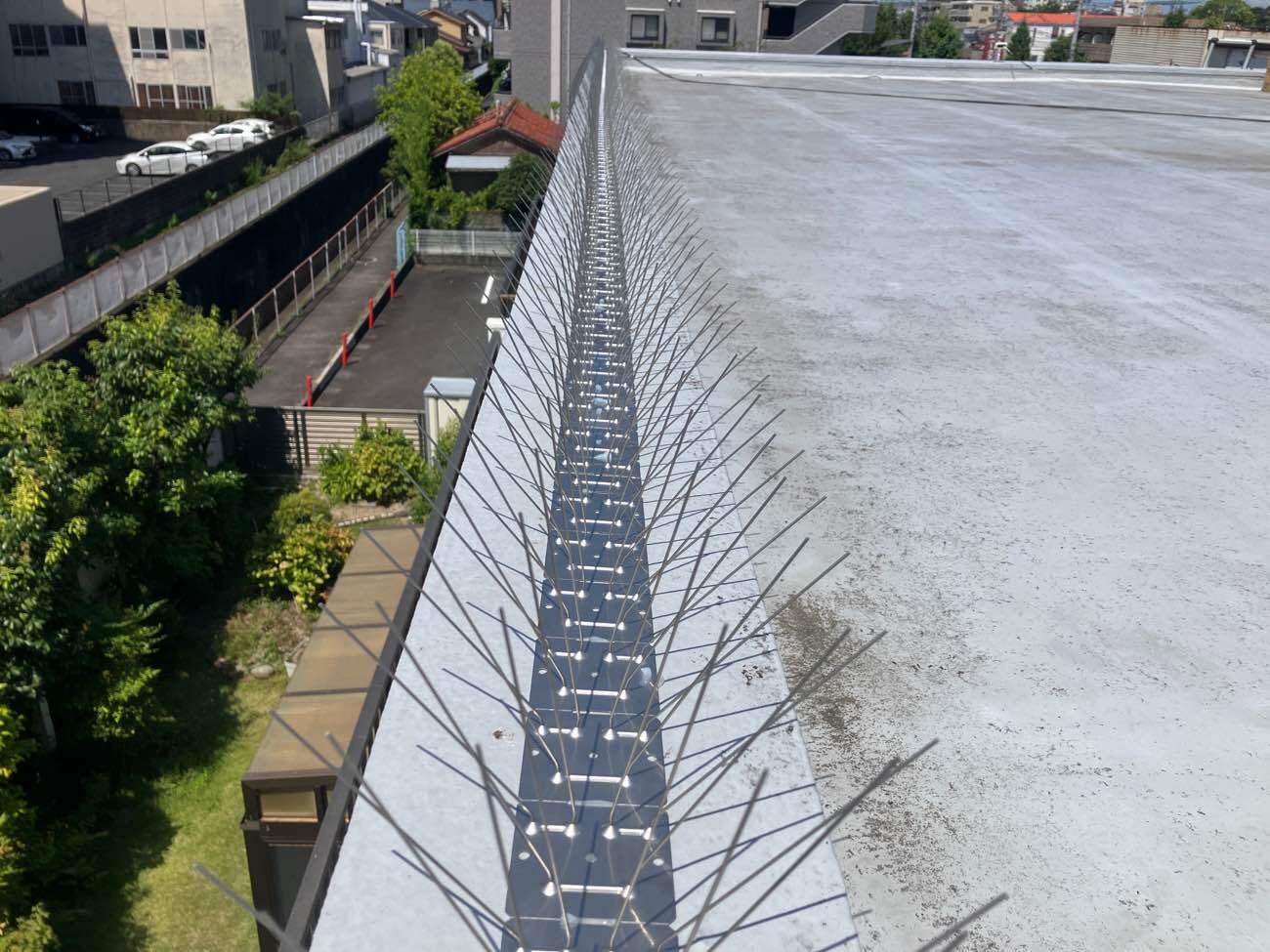 バードピン　鳥害対策工事　施工後
