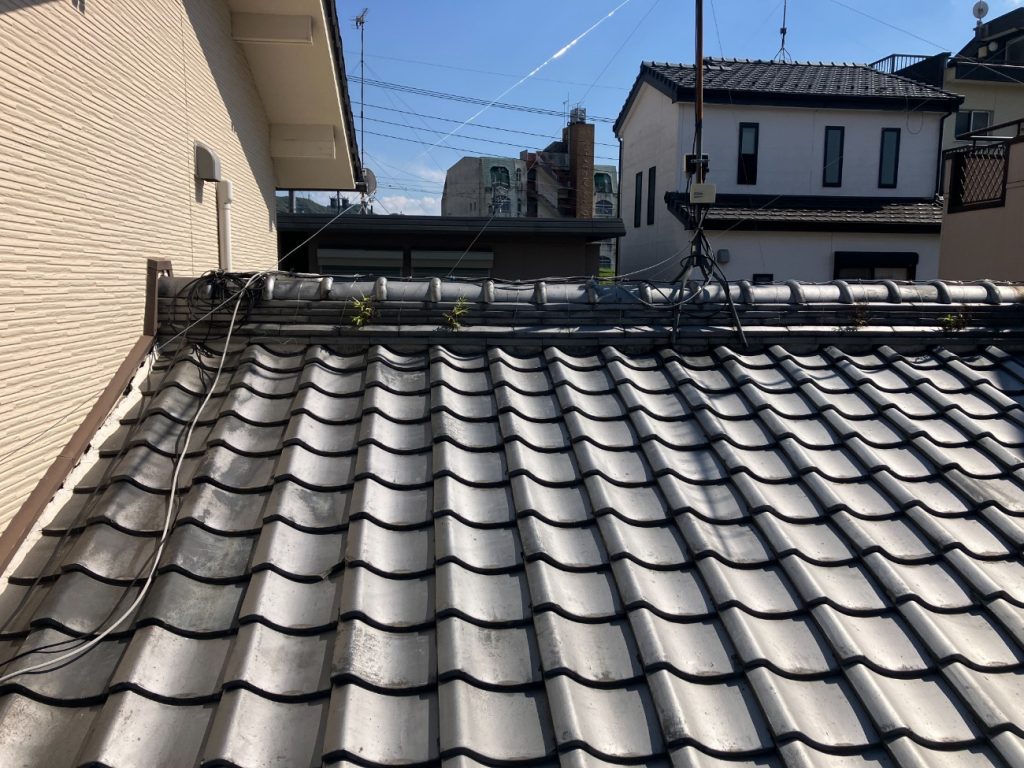 棟に草が生えた屋根