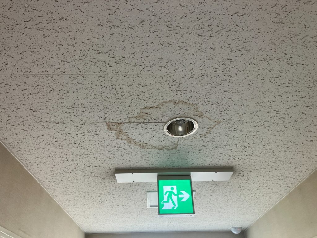 廊下天井の雨染み跡