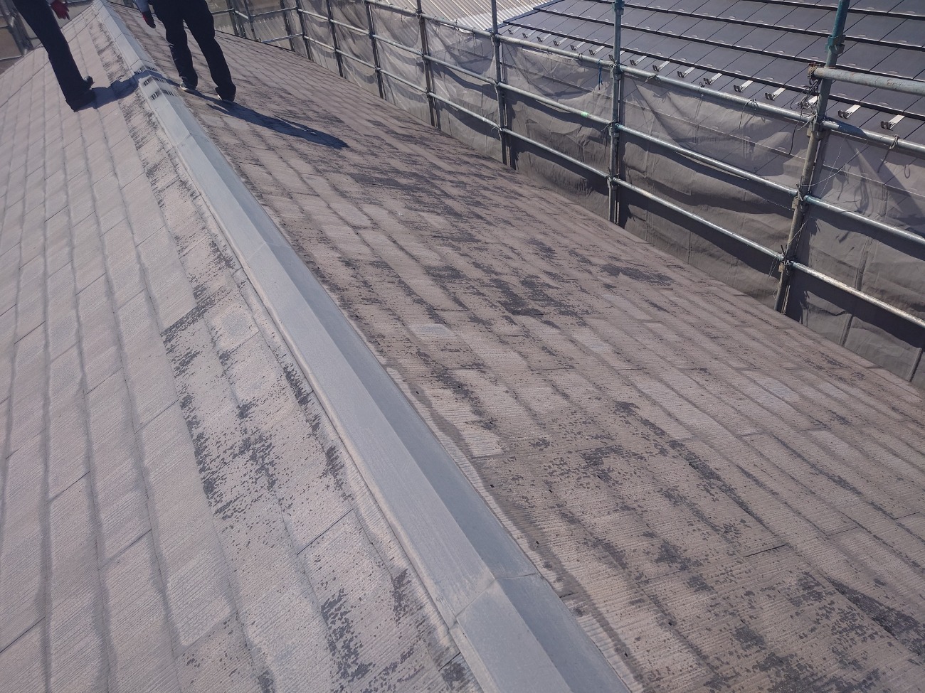 棟板金周りの状況確認