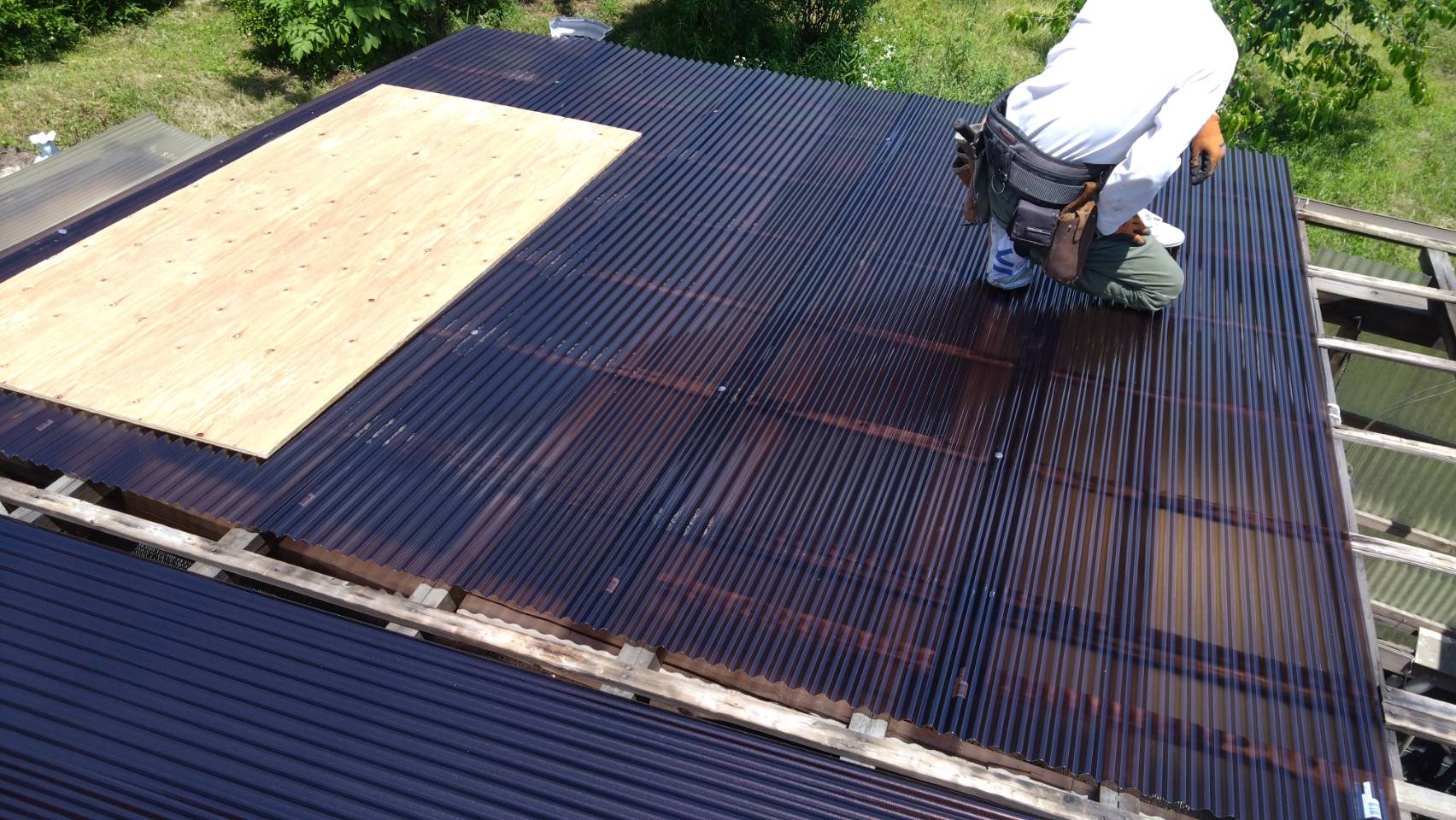 新しい波板の張り込み作業