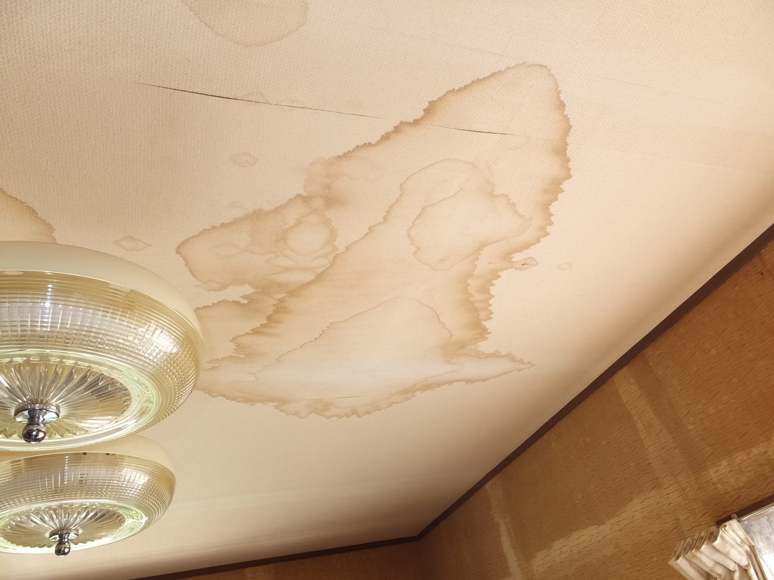 室内天井に広がった雨染み（1枚目）