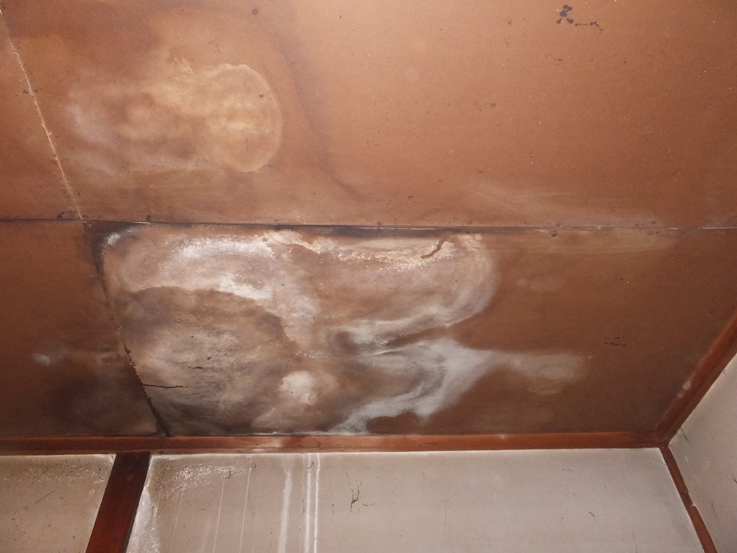 室内天井に広がった雨染み