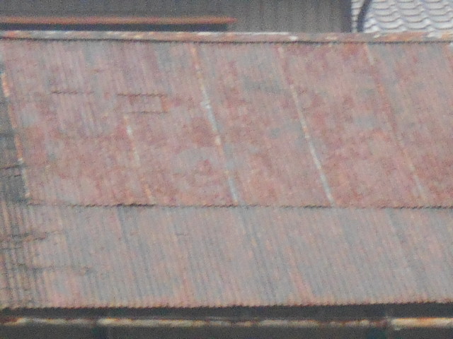 金属屋根