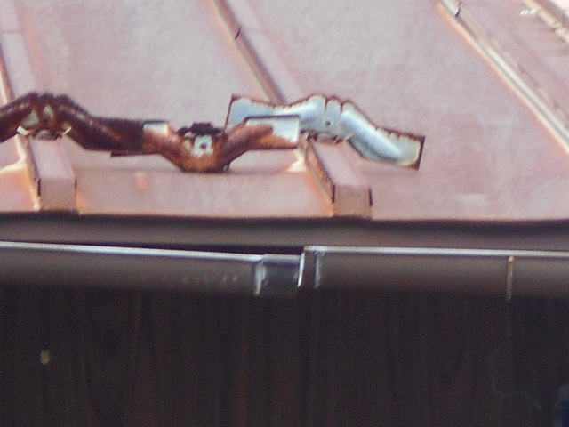 カラートタン瓦棒屋根調査