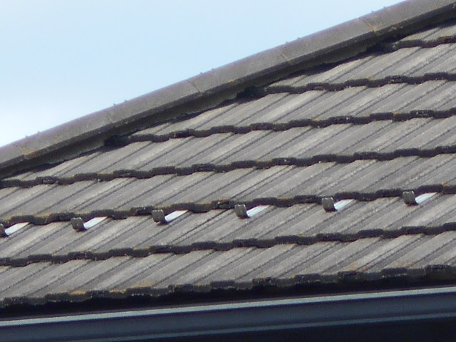 モニエル瓦屋根調査