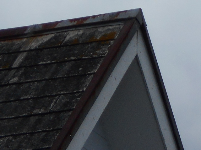 カラーベスト屋根調査