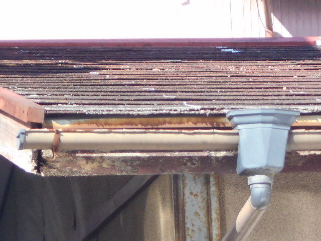 カラートタン横葺き屋根調査