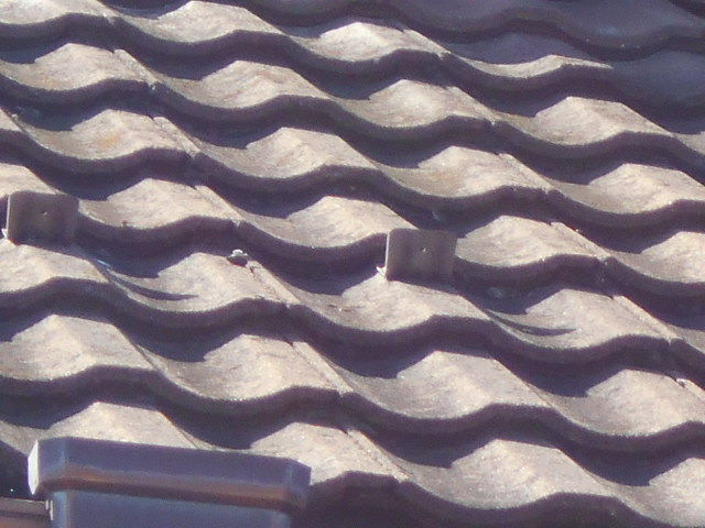 大垣市　モニエル瓦屋根が色褪せてコンクリートの地肌が出ていました。屋根無料調査