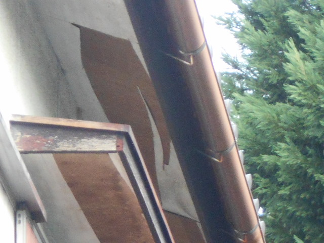 大垣市　軒天ベニヤの単板が剥がれて垂れ下がっています。軒天調査