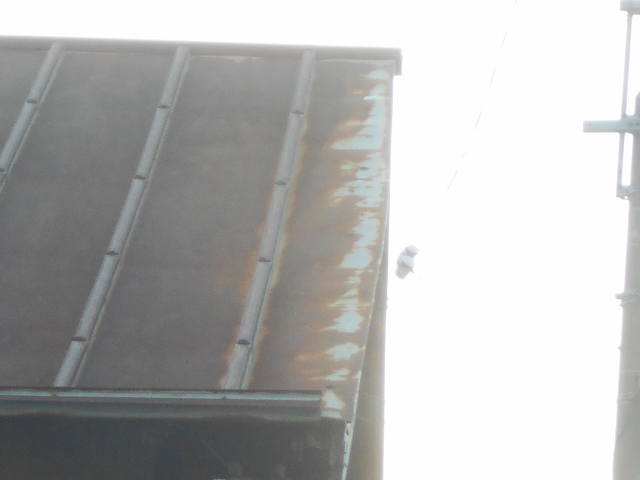 大垣市　カラートタン瓦棒屋根が錆び錆の状態です。雨漏りがしないか心配です。カバ工法の提案
