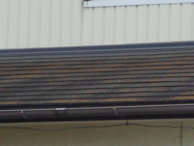 大垣市　カラーベスト屋根に苔が発生しています。屋根無料調査