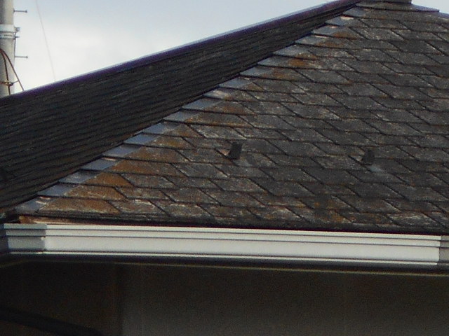 大垣市　カラーベスト屋根が黒く汚れて建物が古く見えます。屋根無料調査