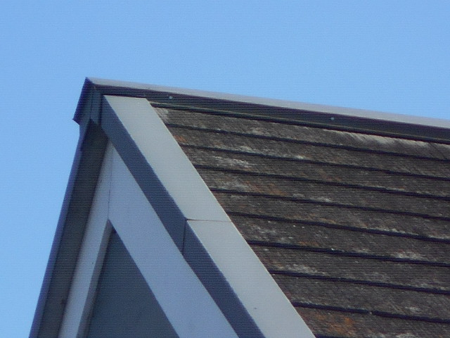 大垣市　カラーベスト屋根が黒くなって元の色が無くなっています。屋根無料調査