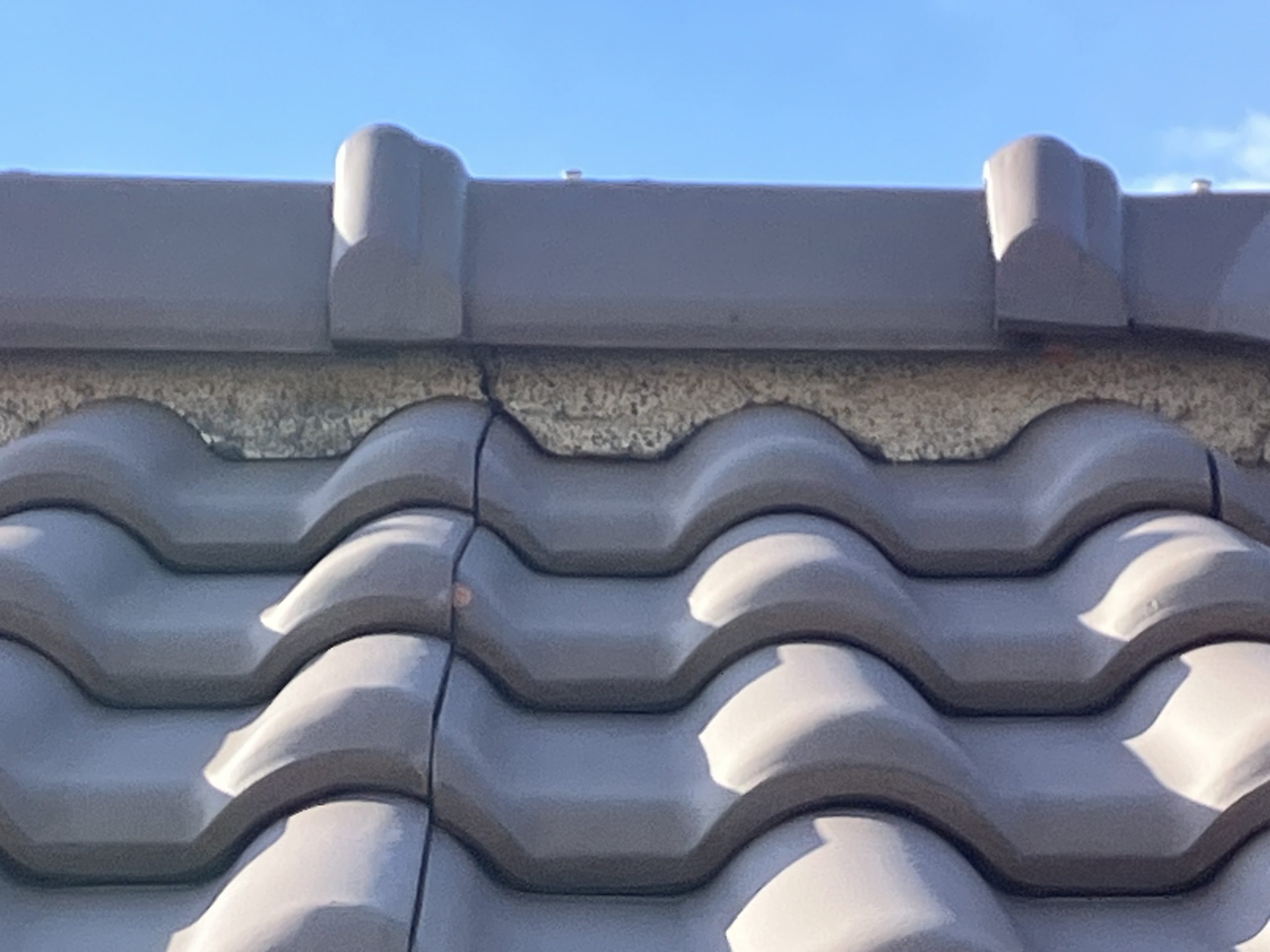 漆喰のひび割れを近接でチェック