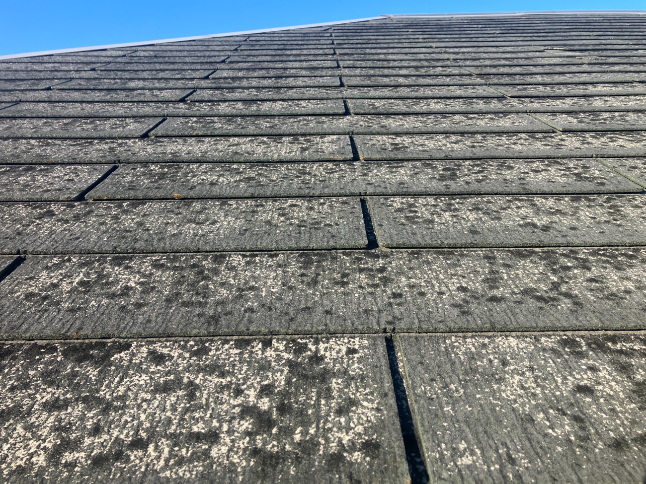 スレート全体に見られる色あせとコケの付着