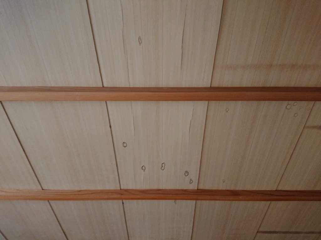 変色した天井板の拡大
