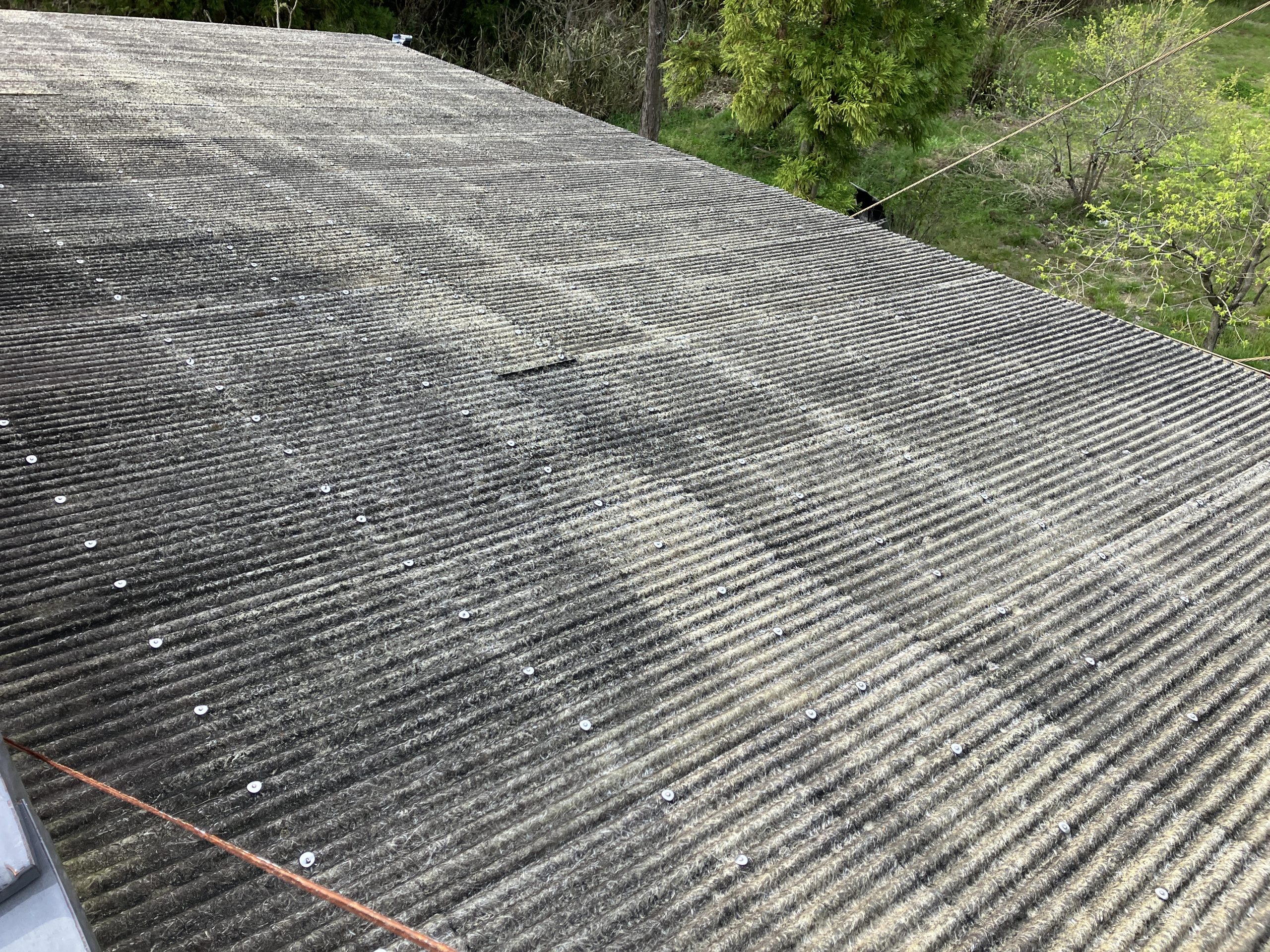 釘部分の緩みと固定力の確認