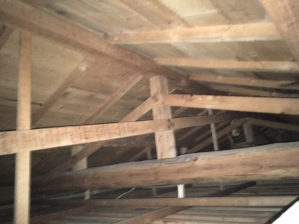 小屋裏の雨染み確認