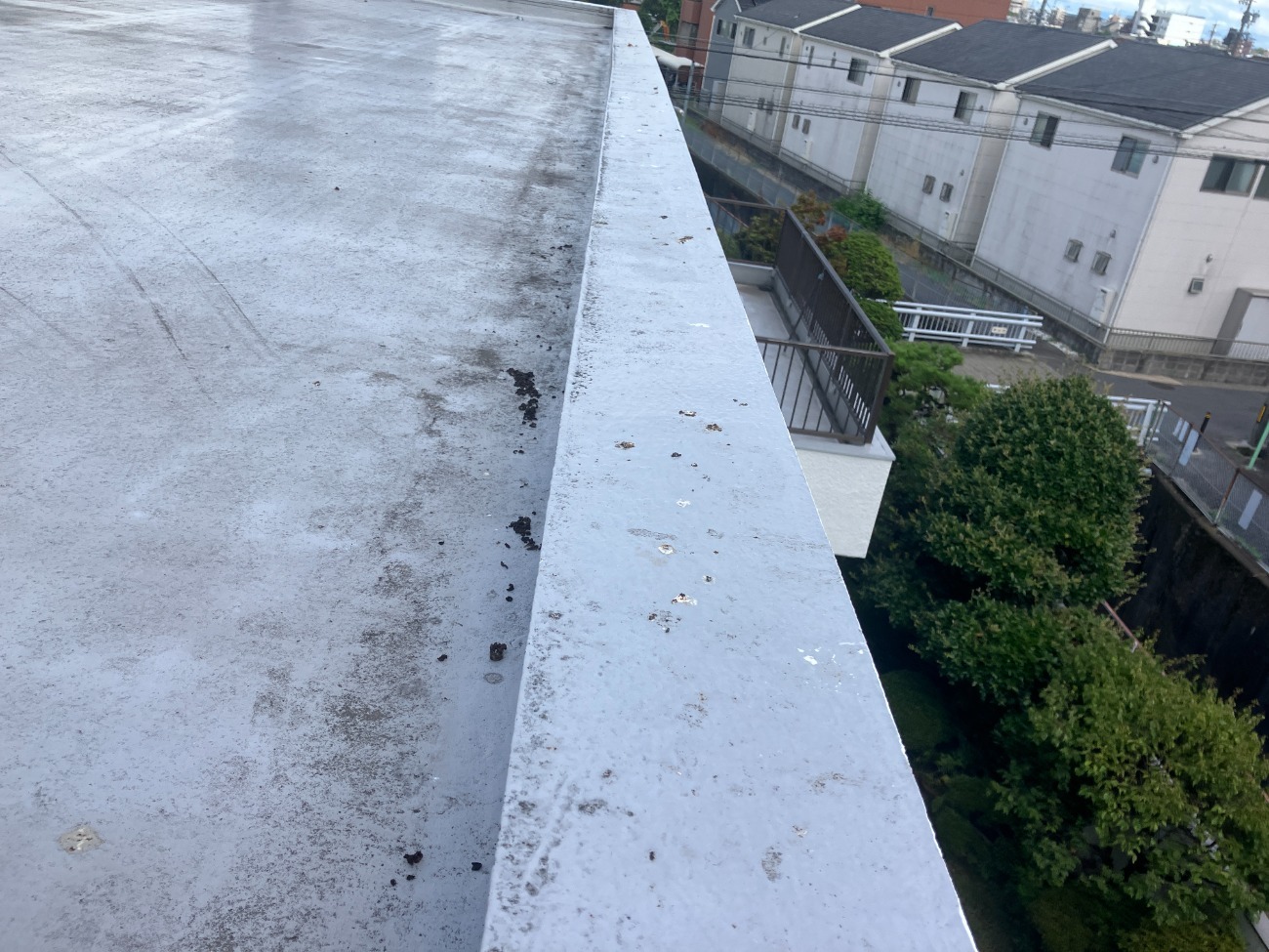 バードピン　鳥害対策工事　施工前
