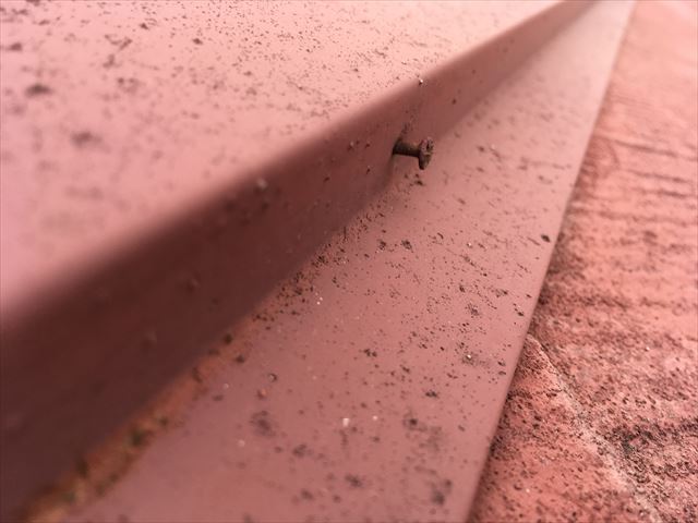 応急処置としての防水シート設置