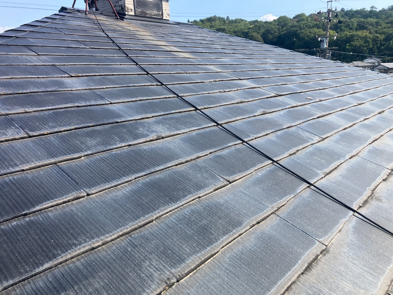 面全体に広がる退色と劣化