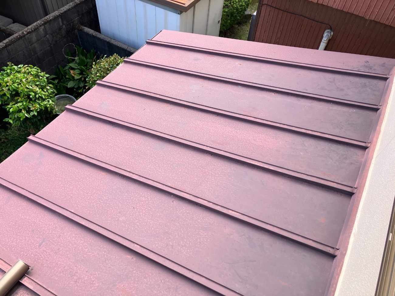 下屋根の全体状態