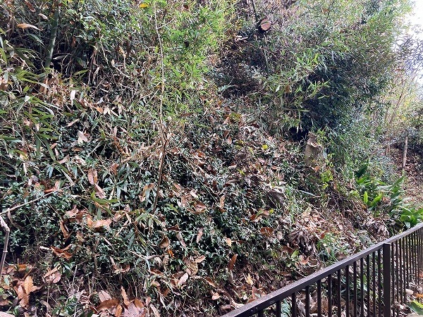 山県市で台風被害！倒れた樹木で瓦と雨樋が破損して火災保険で取替工事