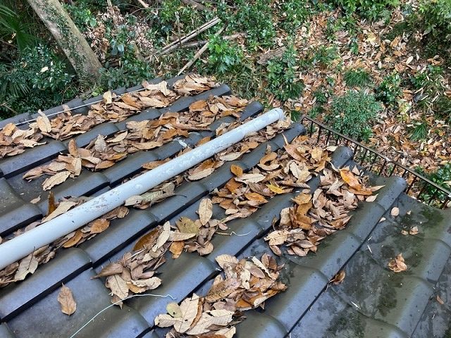 屋根に溜まった落葉