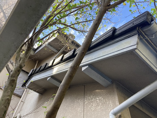 庇周り・破風板の点検
