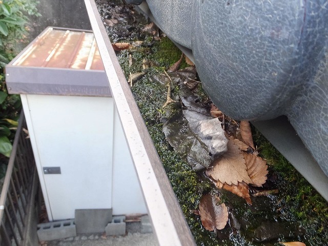 ゴミが溜まった雨樋