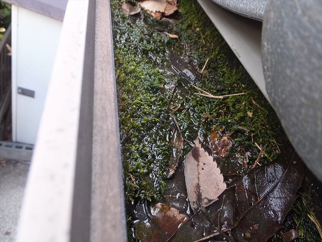 オーバーフローに直結する雨樋詰まり