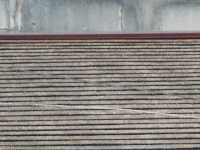 大垣市　カラーベスト屋根の表面が剝がれて色褪せて黒くなっています。屋根無料調査