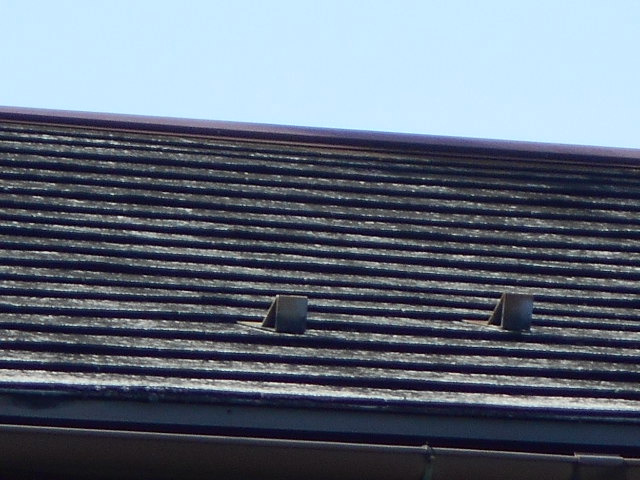大垣市にてカラーベスト屋根の現場調査に行くと塗膜が剥がれて素地が露出していました