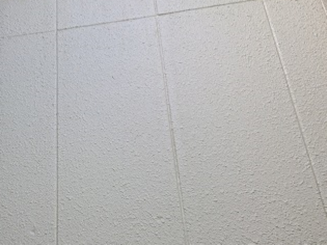 白色の外壁を点検、特に汚れは見つかりませんでした。